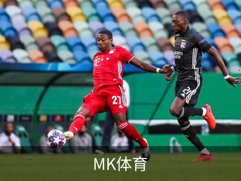 MK体育介绍